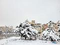 بارش برف در شهر همدان زمستان 1402